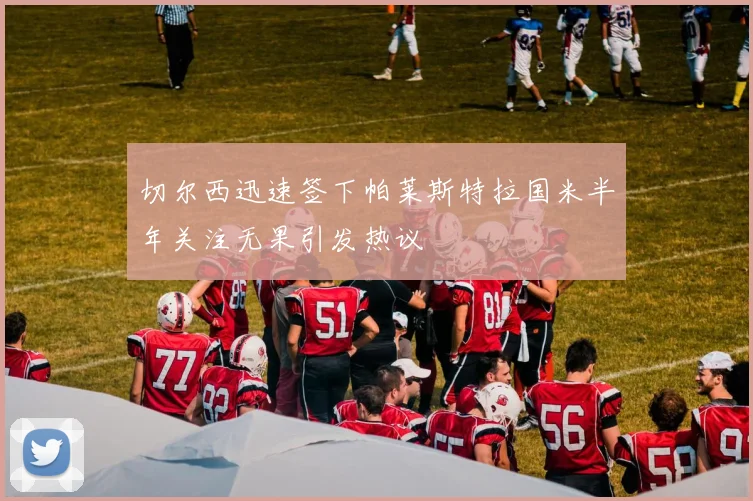 切尔西迅速签下帕莱斯特拉国米半年关注无果引发热议