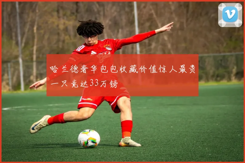 哈兰德奢华包包收藏价值惊人最贵一只竟达33万镑