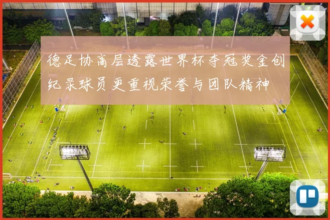 德足协高层透露世界杯夺冠奖金创纪录球员更重视荣誉与团队精神