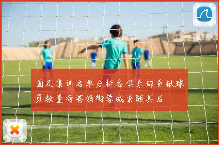 国足集训名单分析各俱乐部贡献球员数量海港领衔蓉城紧随其后